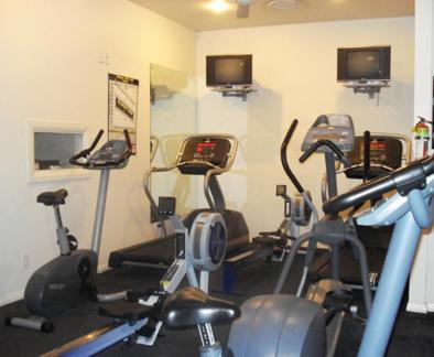 Cotter House Luxury Retreat Bed and Breakfast Όκλαντ Εξωτερικό φωτογραφία